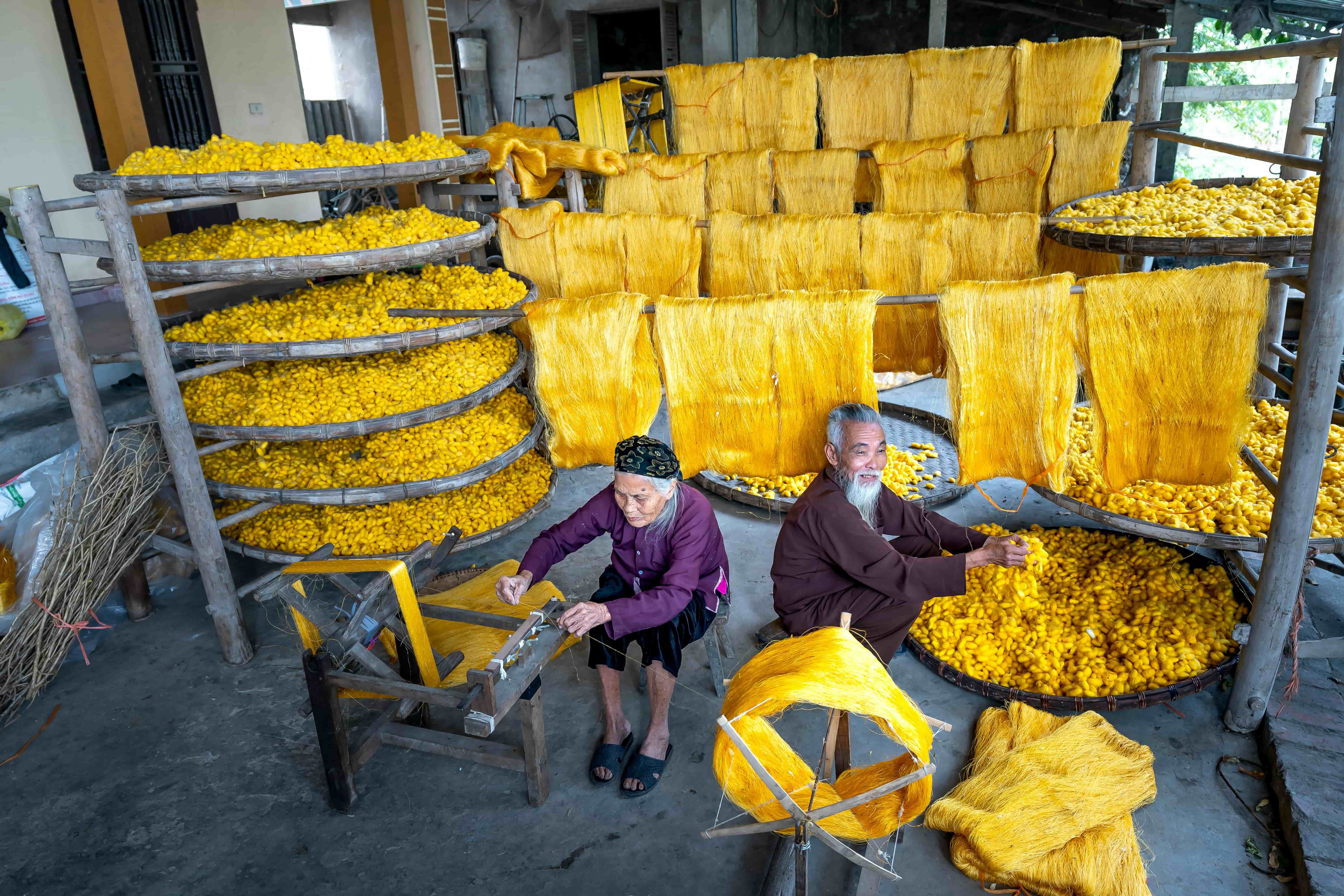 Greenwashing vs Reality